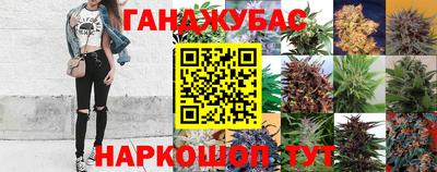 гидропоника Коммунар