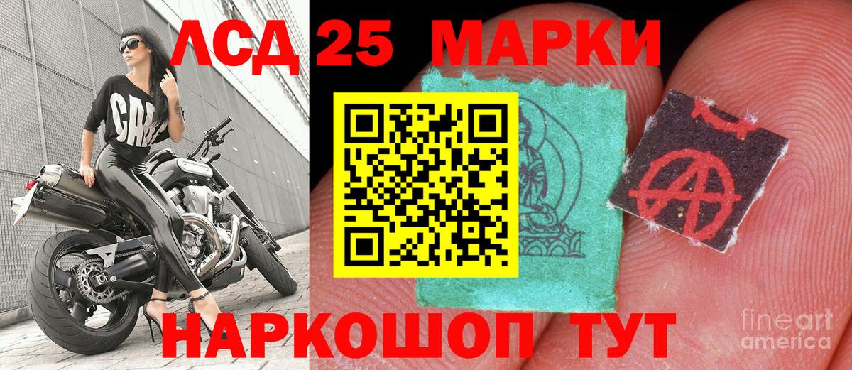  COCAIN Владимир