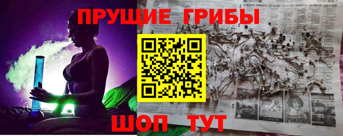 купить  сайты  Вход с VPN  Владимир  Галлюциногенные грибы Psilocybine cubensis 